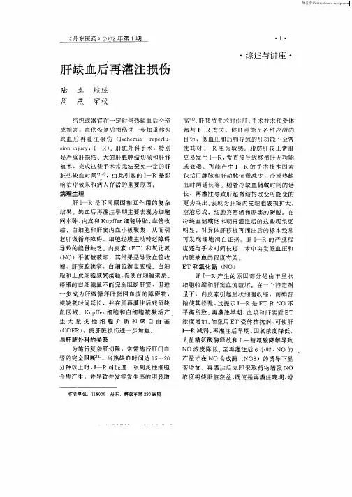 肝缺血后再灌注损伤