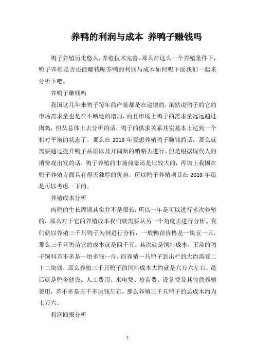 养鸭的利润与成本养鸭子赚钱吗？