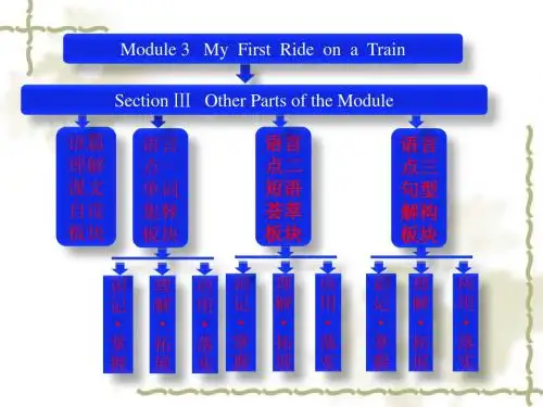 高中英语外研版必修一配套同步课件Module 3 Section Ⅲ Other Parts of the Module