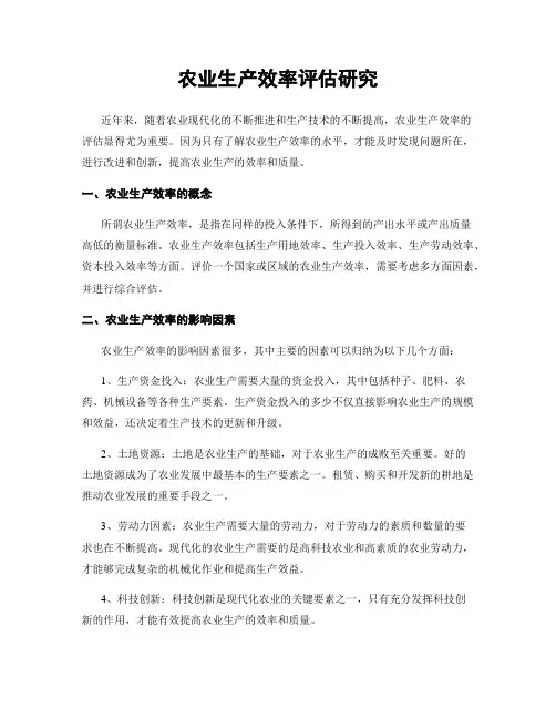 农业生产效率评估研究