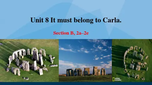 人教版新目标九年级英语全册Unit 8 Section B 2a-2e 课件