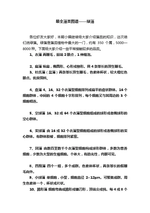最全藻类图谱——绿藻