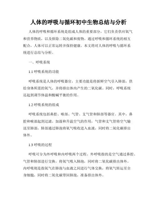 人体的呼吸与循环初中生物总结与分析