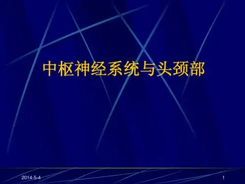 Neurological Examination (神经系统检查)