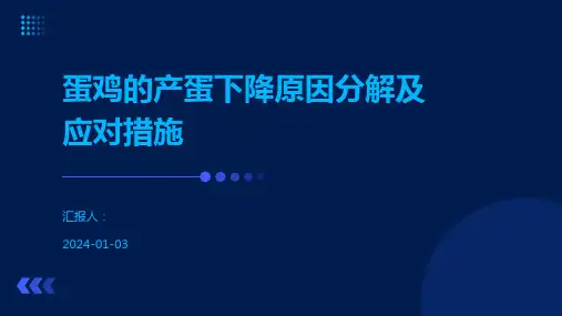 蛋鸡的产蛋下降原因分解及应对措施