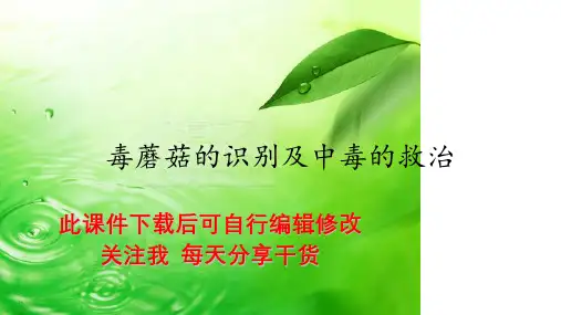 毒蘑菇的识别及中毒的救治PPT课件