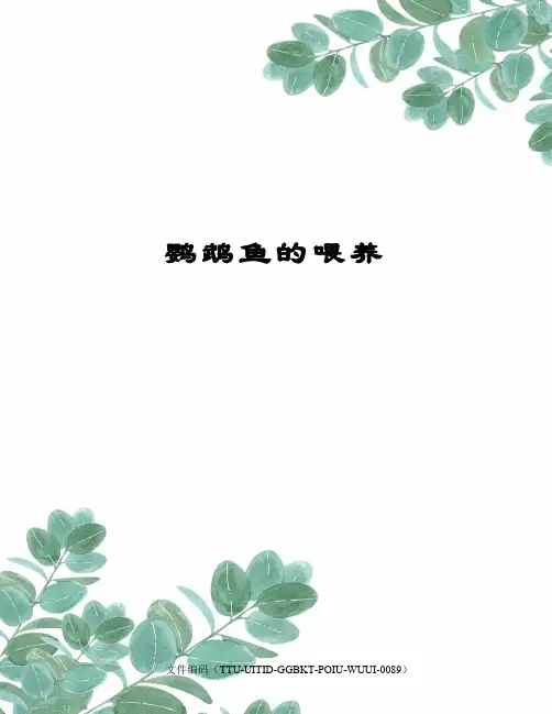 鹦鹉鱼的喂养