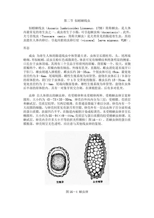 第二节似蚓蛔线虫