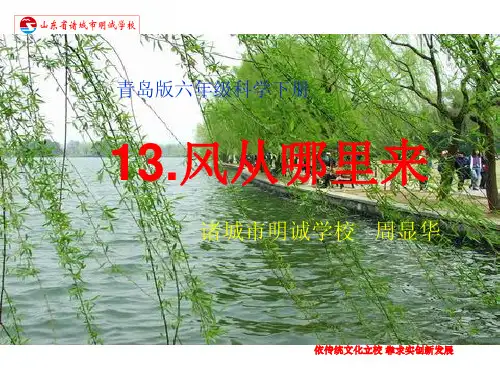 《风从哪里来》