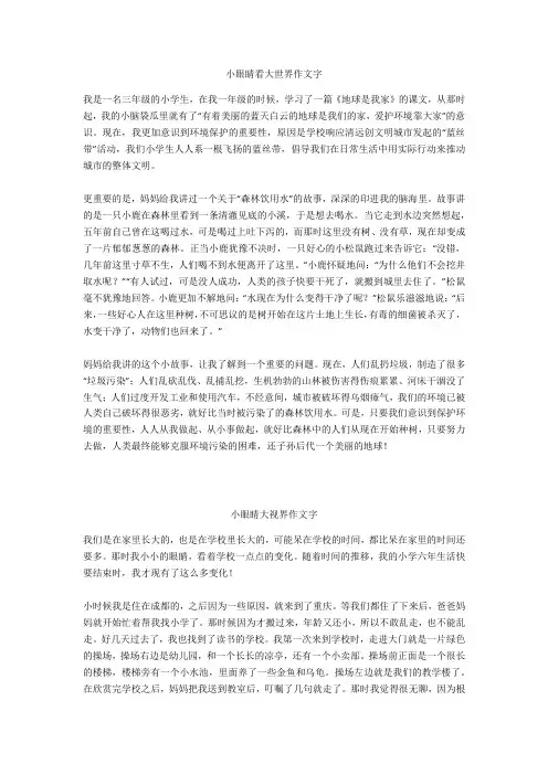 小眼睛大视界作文600字优选作文