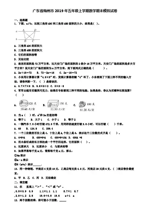 广东省梅州市2019年五年级上学期数学期末模拟试卷