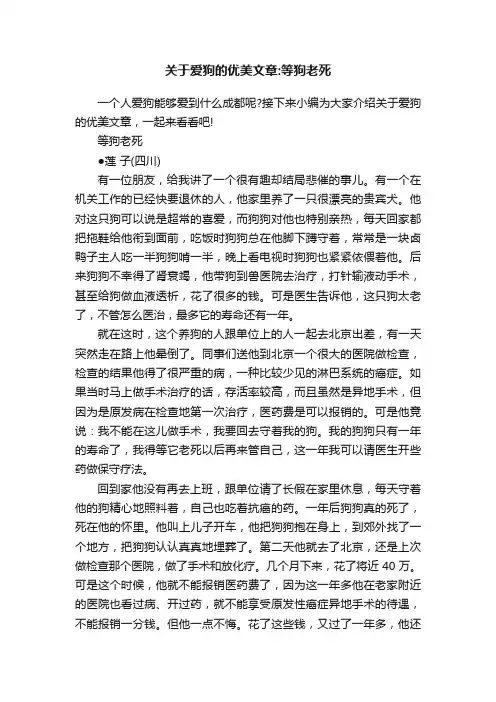 关于爱狗的优美文章：等狗老死