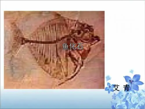 京改版七年级语文(下)《鱼化石》课件(39张PPT)