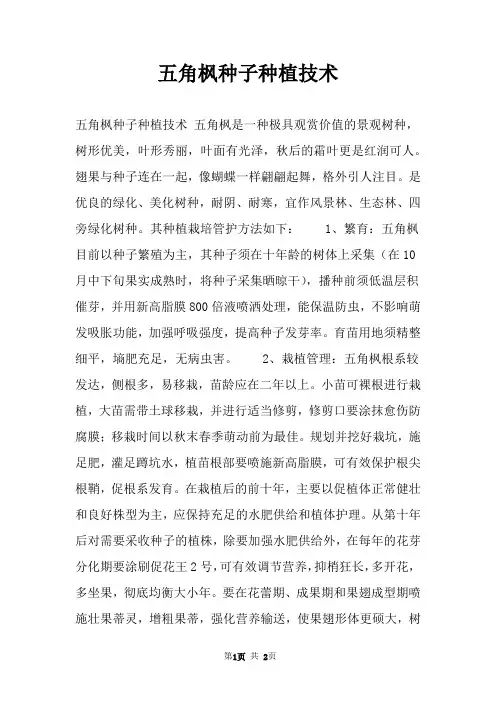 五角枫种子种植技术