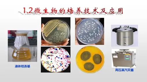 高二生物1.2.1 微生物的培养技术及应用