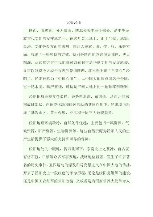 大美泾阳