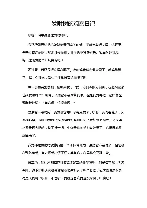 发财树的观察日记