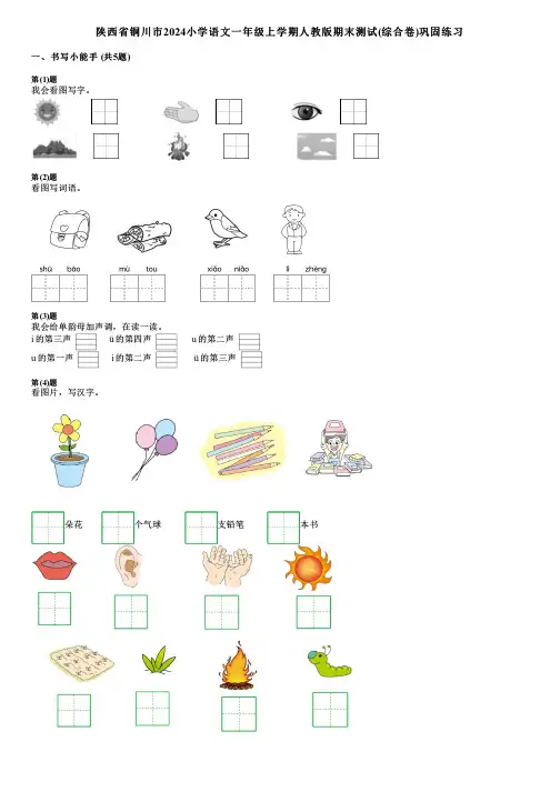 陕西省铜川市2024小学语文一年级上学期人教版期末测试(综合卷)巩固练习