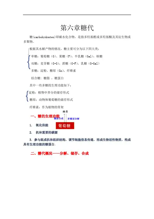 生物化学糖代谢知识点总结材料