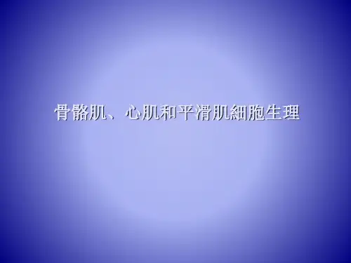 环境生理学课件骨骼肌、心肌和平滑肌细胞生理
