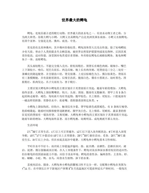 世界最大的鳄龟