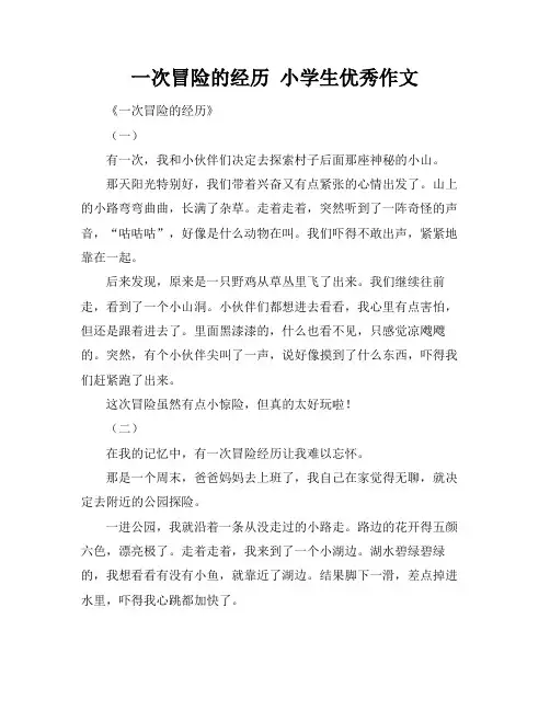 一次冒险的经历 小学生优秀作文