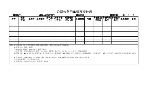 公司公务用车情况统计表