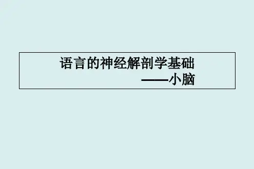 小脑-ppt课件.ppt