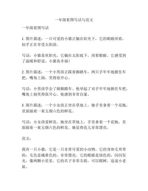 一年级看图写话与范文
