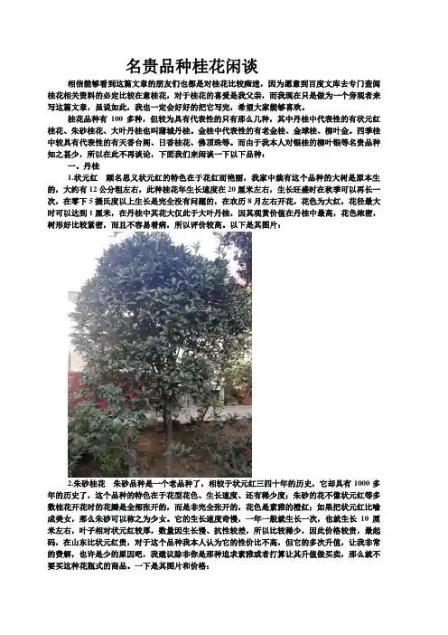 名贵品种桂花闲谈