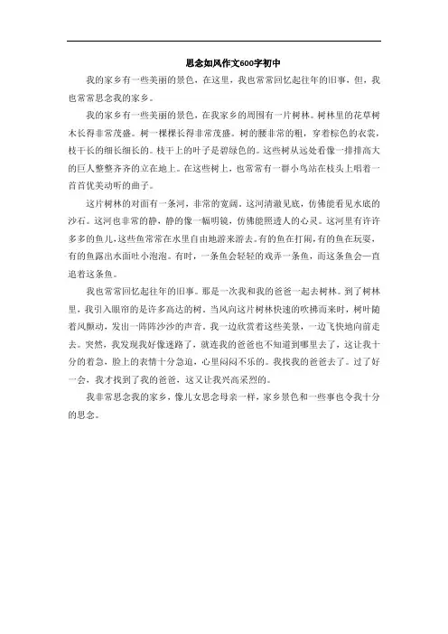 思念如风作文600字初中