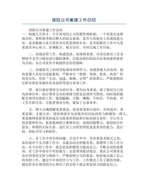 保险公司筹建工作总结