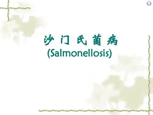 04沙门氏菌病