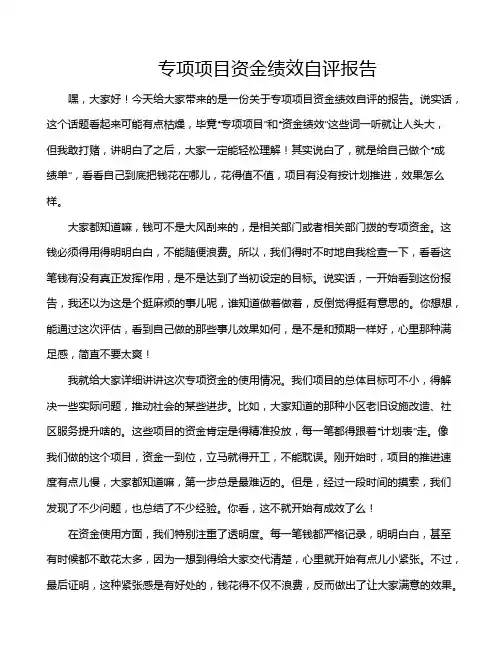 专项项目资金绩效自评报告