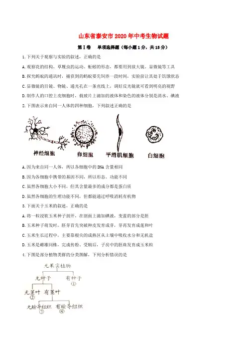 山东省泰安市2020年中考生物真题试题(含答案)