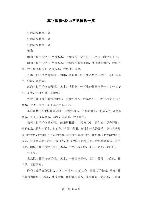 其它课程-校园常见植物一览