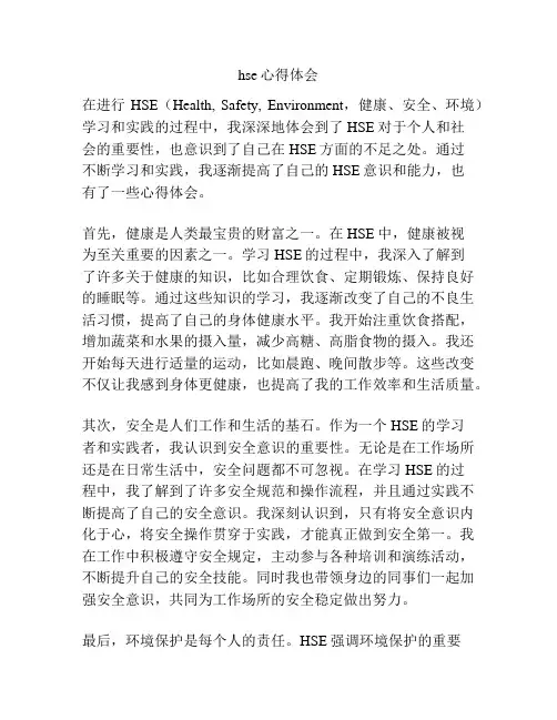 hse心得体会