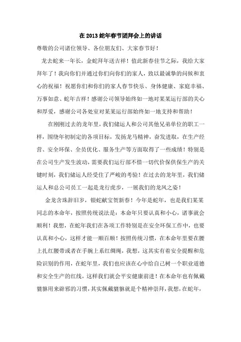 在2013蛇年春节团拜会上的讲话
