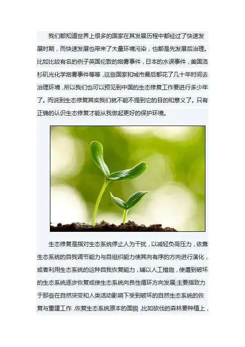 生态修复的意义和进展