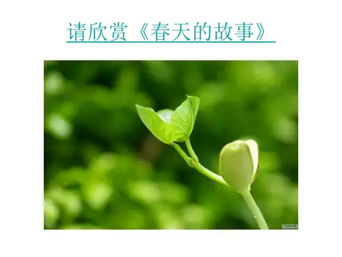 第6课 对外开放的基本国策