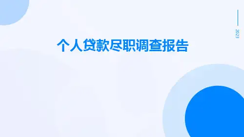 个人贷款尽职调查报告