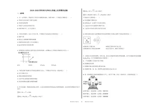 2019-2020学年四川泸州九年级上化学期末试卷