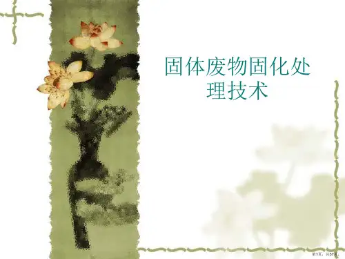 固体废物固化处理技术PPT课件