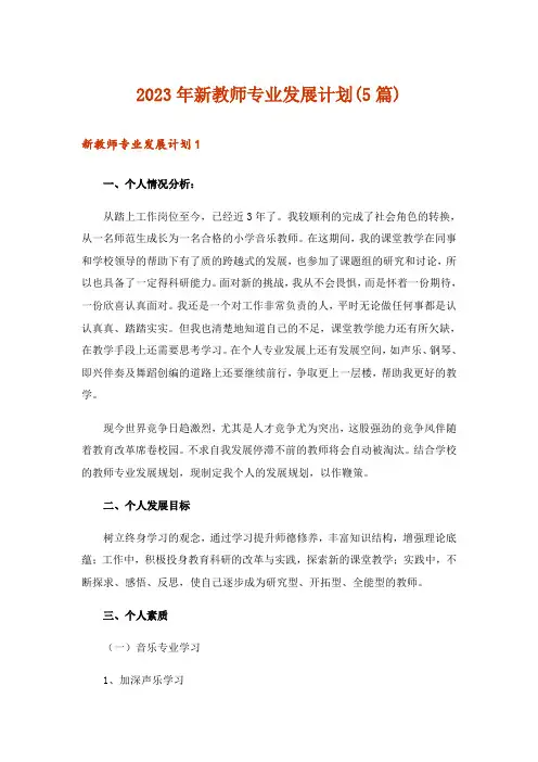 2023年新教师专业发展计划(5篇)