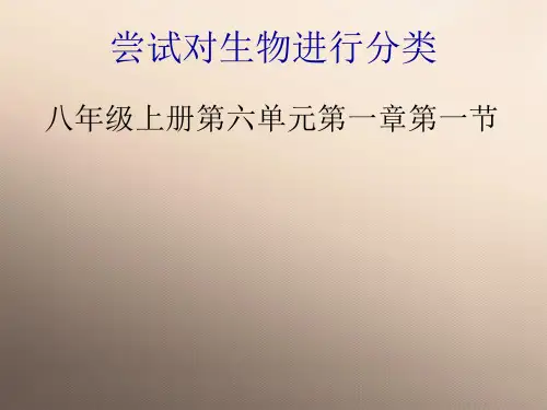 人教版初中生物八年级上册  6.1.1 尝试对生物进行分类 课件  (共30张PPT)优秀课件