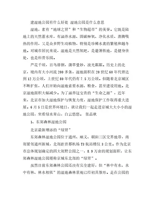 建湿地公园有什么好处 湿地公园是什么意思