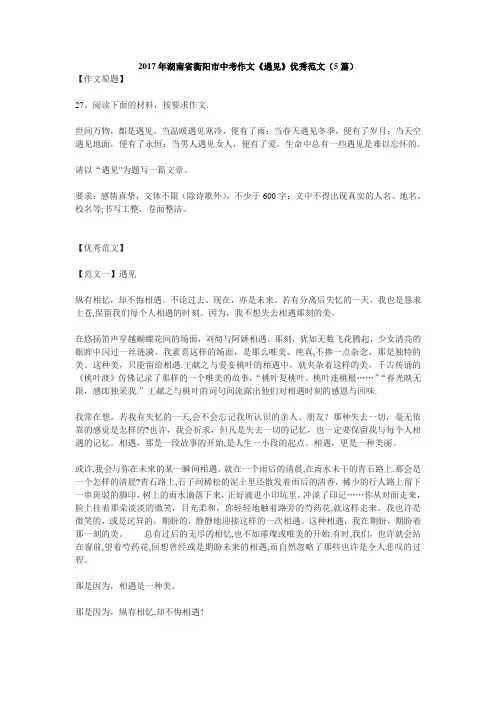 作文《遇见》优秀范文(5篇)