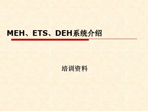 MEH、ETS、DEH系统介绍