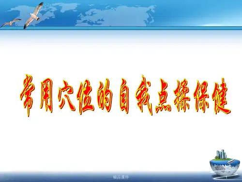 常用穴位的自我点揉保健PPT课件