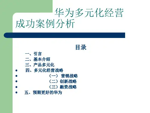 华为多元化经营案例PPT